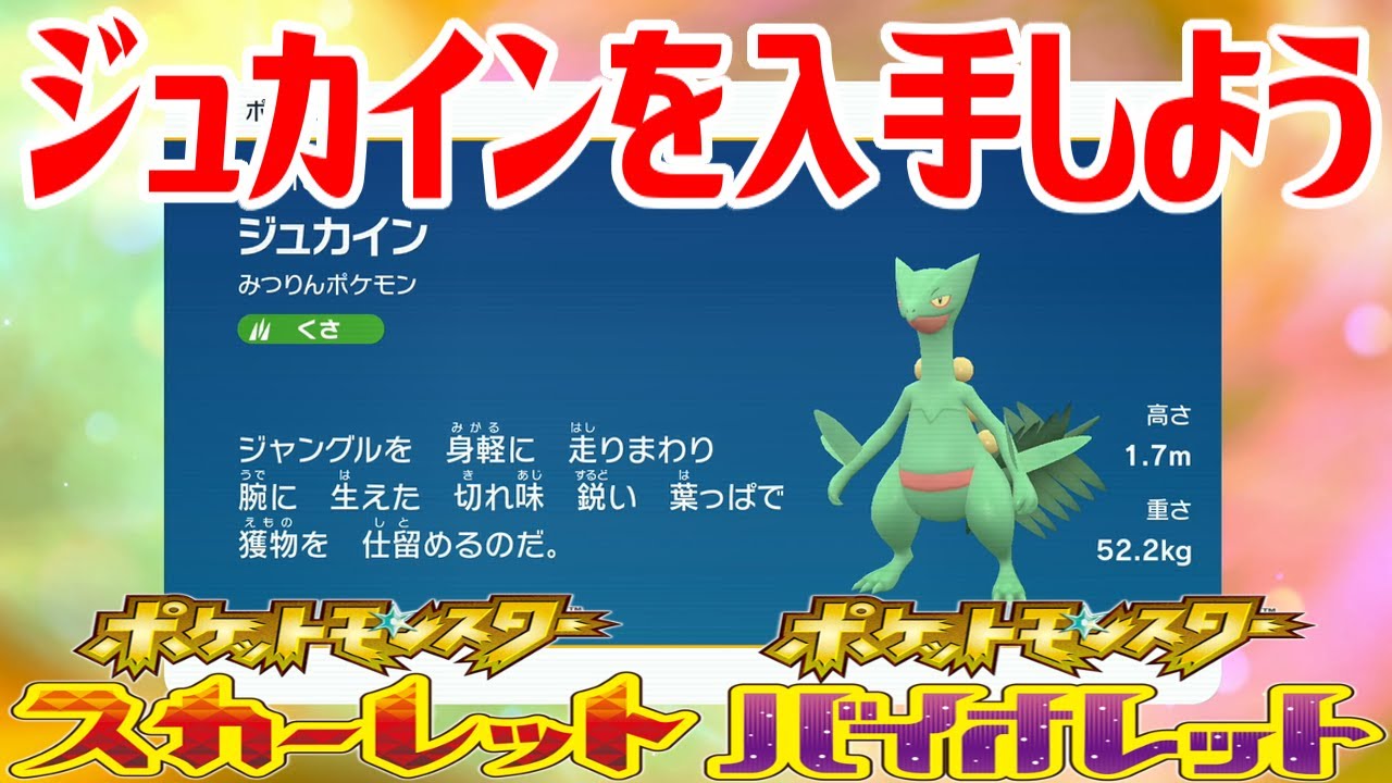 【ポケモンSV】ジュカインを入手しよう 進化入手【ポケットモンスター スカーレット・バイオレット ゼロの秘宝 藍の円盤】Pocket Monsters