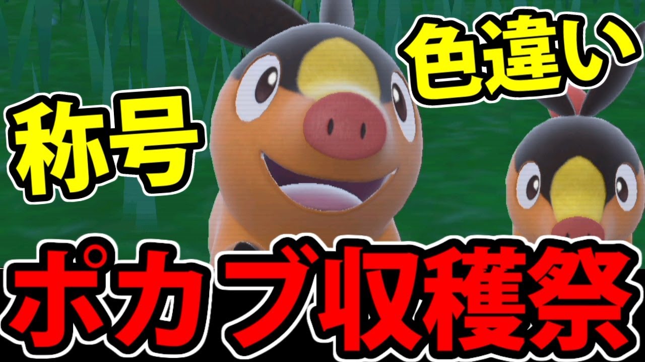 【BPマルチ募集OK】ポケモンSV　ポカブ全力厳選生放送 【色違い&称号】