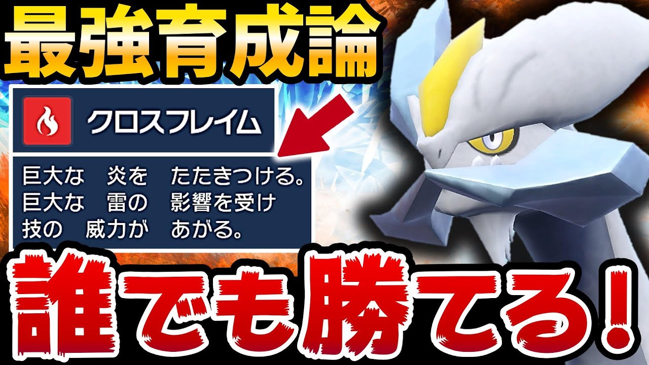 【結論】ホワイトキュレムの●●テラスが最強すぎるwww【ホワイトキュレム最強育成論】【ポケモンSV】