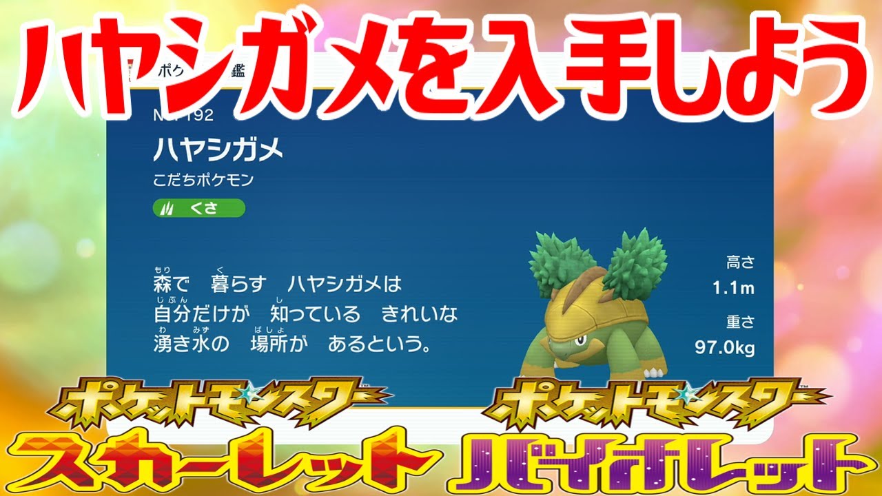 【ポケモンSV】ハヤシガメを入手しよう 進化入手【ポケットモンスター スカーレット・バイオレット ゼロの秘宝 藍の円盤】Pocket Monsters