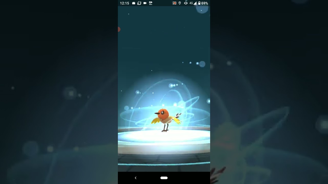 色違いヤヤコマ　ポケモンGO