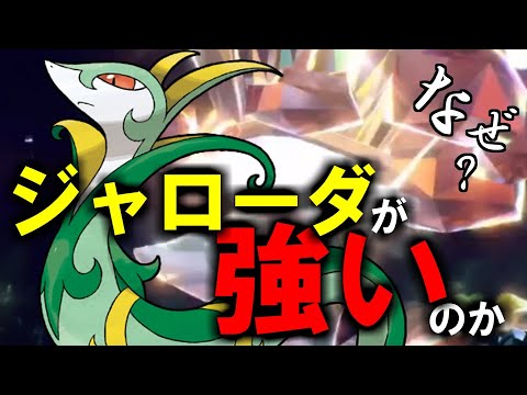 前作で使えなかった最強御三家が復活‼岩テラスジャローダが来期強いわけとは⁉【ポケモンSV】