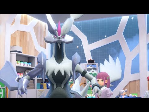 学校最強大会周回金策用色違いホワイトキュレム（育成済）と、タロさんのブルーを交換しませんか？【ポケモンSV】