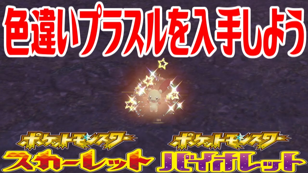 【ポケモンSV】色違いプラスルを入手しよう【ポケットモンスター スカーレット・バイオレット ゼロの秘宝 藍の円盤】Pocket Monsters