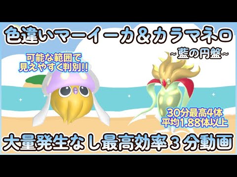 藍の円盤 色違いマーイーカ＆カラマネロ最高効率３分まとめ 30分最高４体平均1.88体以上#ポケモンsv #最高効率 #色違い #マーイーカ #カラマネロ #大量発生なし #藍の円盤