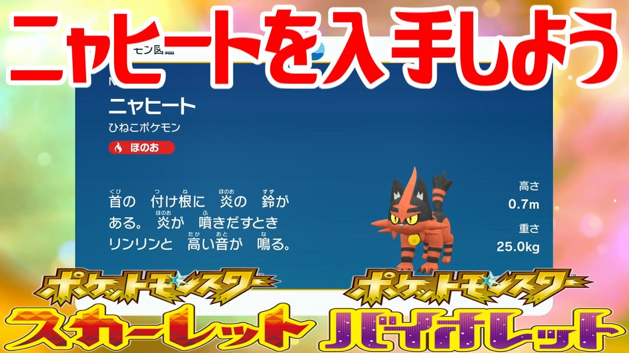 【ポケモンSV】ニャヒートを入手しよう 進化入手【ポケットモンスター スカーレット・バイオレット ゼロの秘宝 藍の円盤】Pocket Monsters