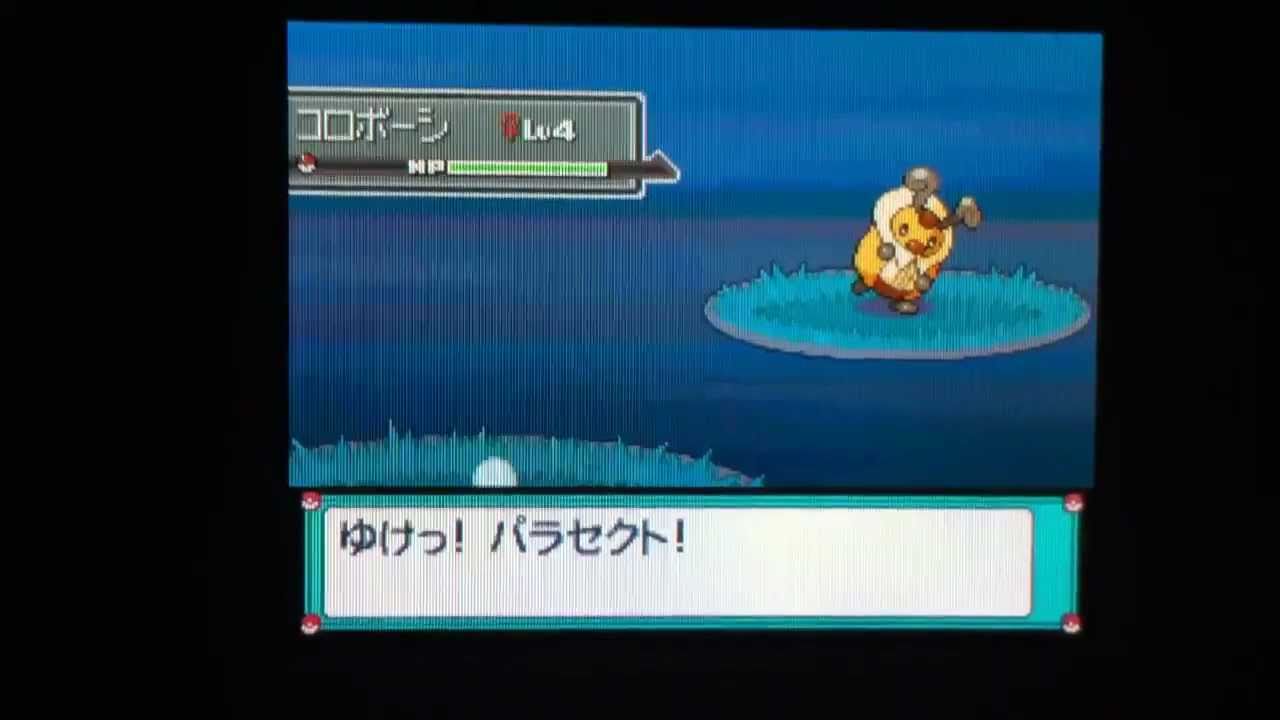 ☆色違いコロボーシ☆ ポケトレ４０連鎖