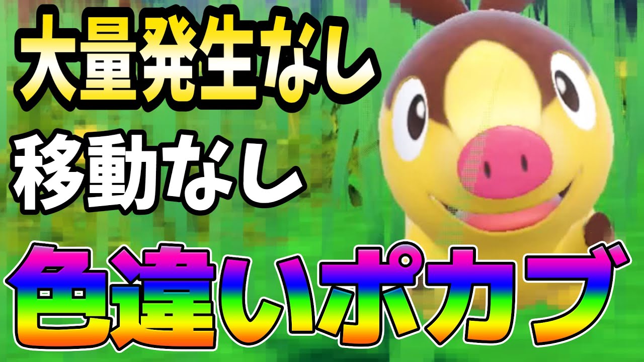 ポケモンSV【色ちがいポカブ厳選方法】この位置がオススメ！！