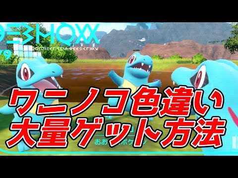 難易度”高”ワニノコ色厳選大量ゲット！
