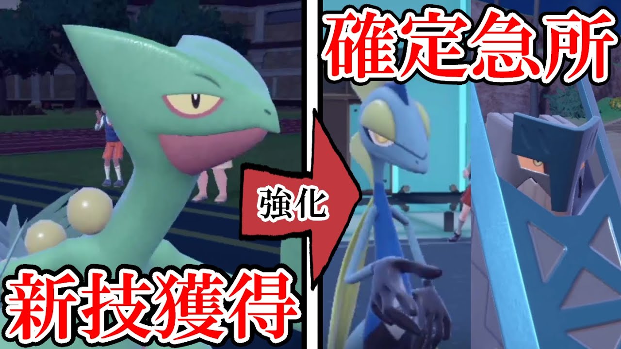 【ポケモンSV】ジュカインが新しく覚えたドラゴンエールという技がヤバすぎる！！