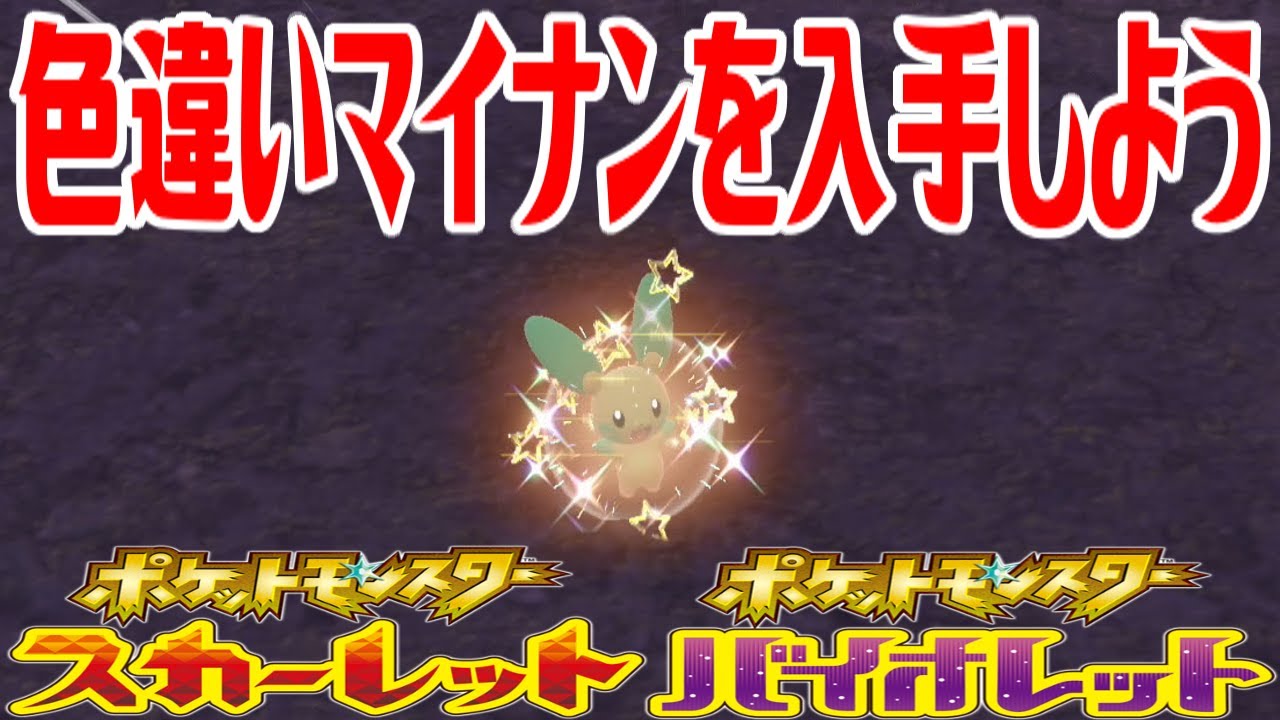 【ポケモンSV】色違いマイナンを入手しよう【ポケットモンスター スカーレット・バイオレット ゼロの秘宝 藍の円盤】Pocket Monsters