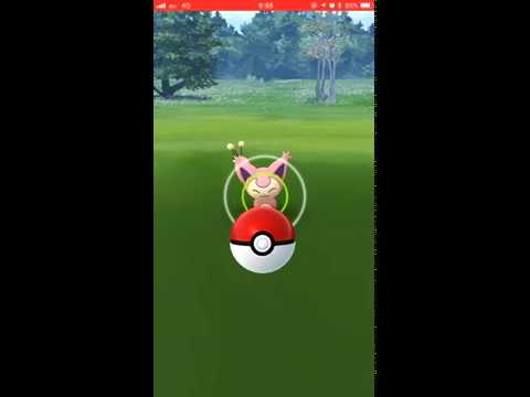 【Pokémon GO Excellent Throw】300 エネコ (Skitty)