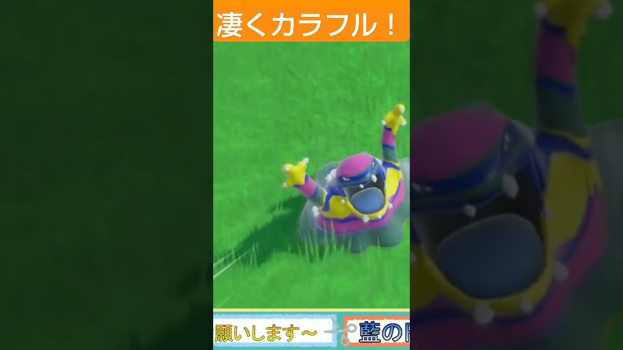アローラベトベトンさんは凄くカラフル！！#ポケモンsv #藍の円盤