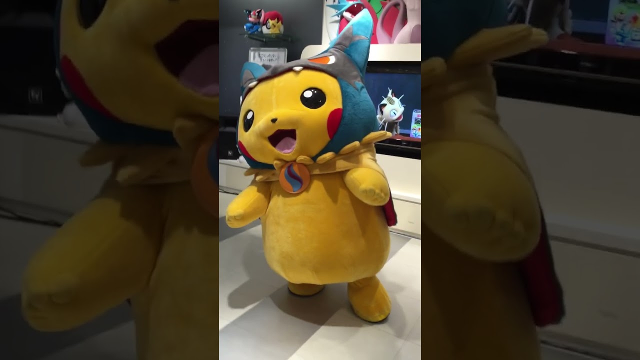 メガルカリオ ポンチョを着たピカチュウ ！