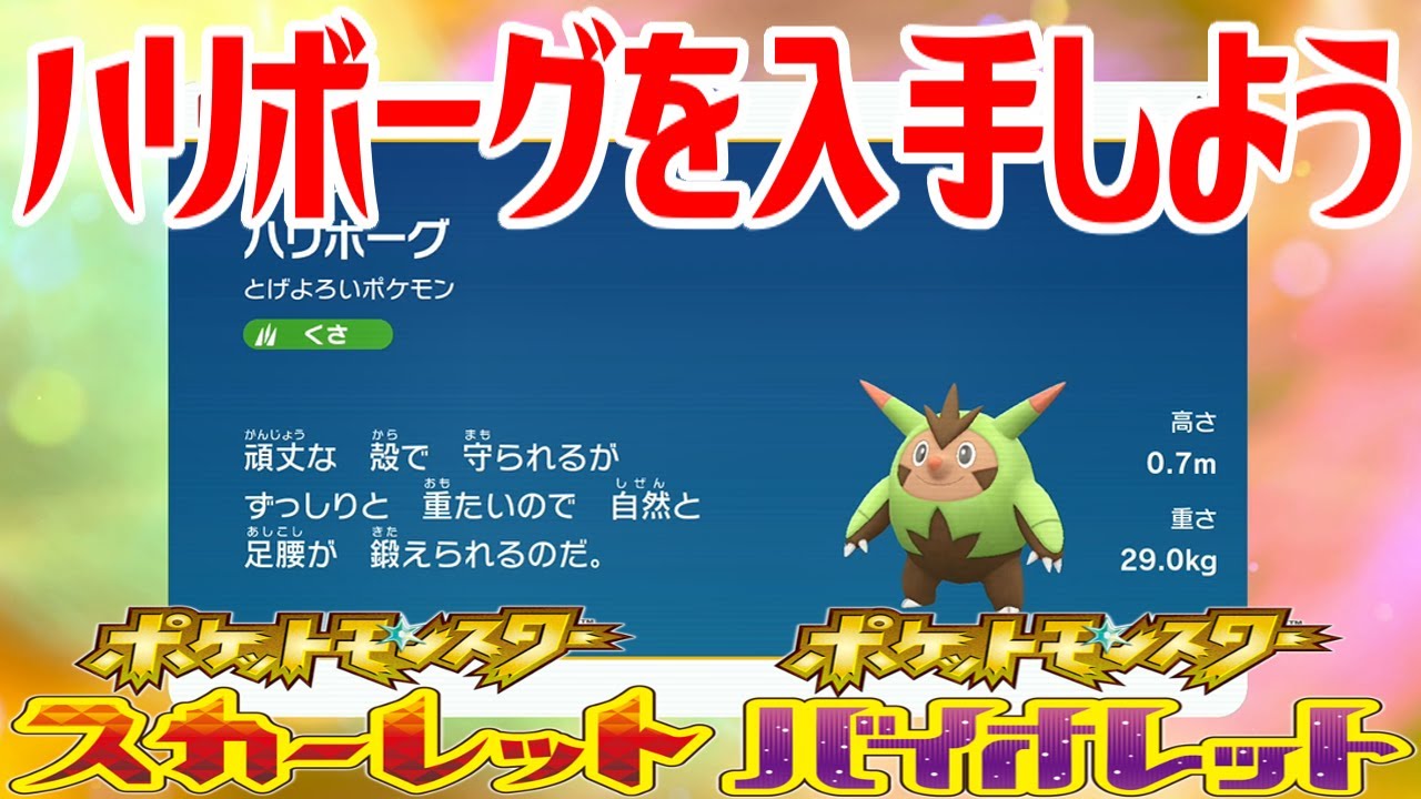 【ポケモンSV】ハリボーグを入手しよう 進化入手【ポケットモンスター スカーレット・バイオレット ゼロの秘宝 藍の円盤】Pocket Monsters