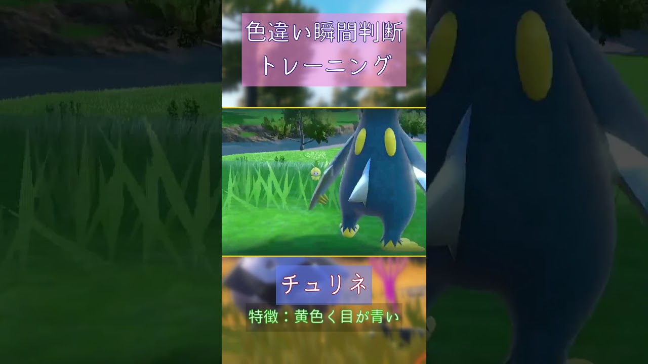 【ポケモンSV】チュリネ色違い瞬間判断トレーニング #pokemon #shorts