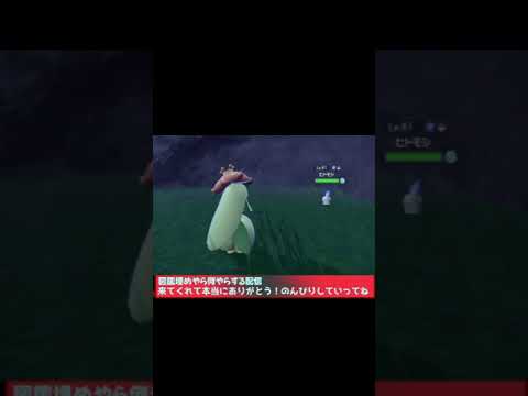 色ヒトモシが起こした出来事【ポケモンSV】　#ポケモンsv 　#藍の円盤  #shorts