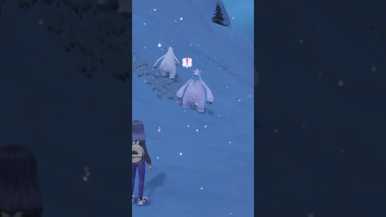 大量発生:色違いツンベアー編(*'▽'*)