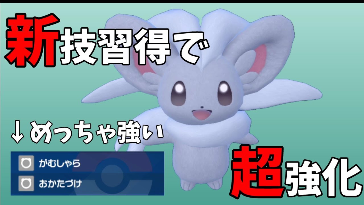 新技習得で超強化された可愛いチラチーノで環境を荒せ！！【ポケモンSV】