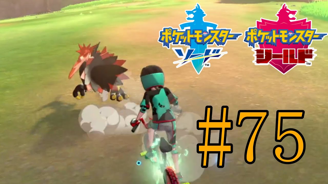 【ポケットモンスター ソード】#７５ オニドリルと鬼ごっこ