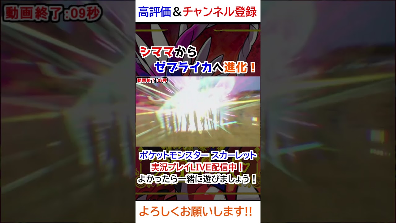 シママ→ゼブライカ進化【ポケモンSV】