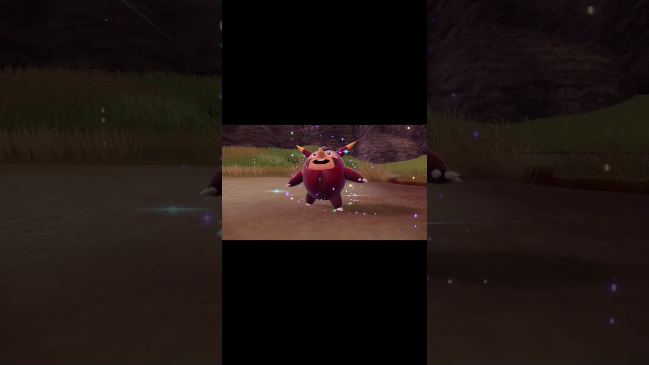 色違いのハリマロン・ハリボーグ・ブリガロンきちゃ！ #shorts #ポケモンsv #色違い #藍の円盤