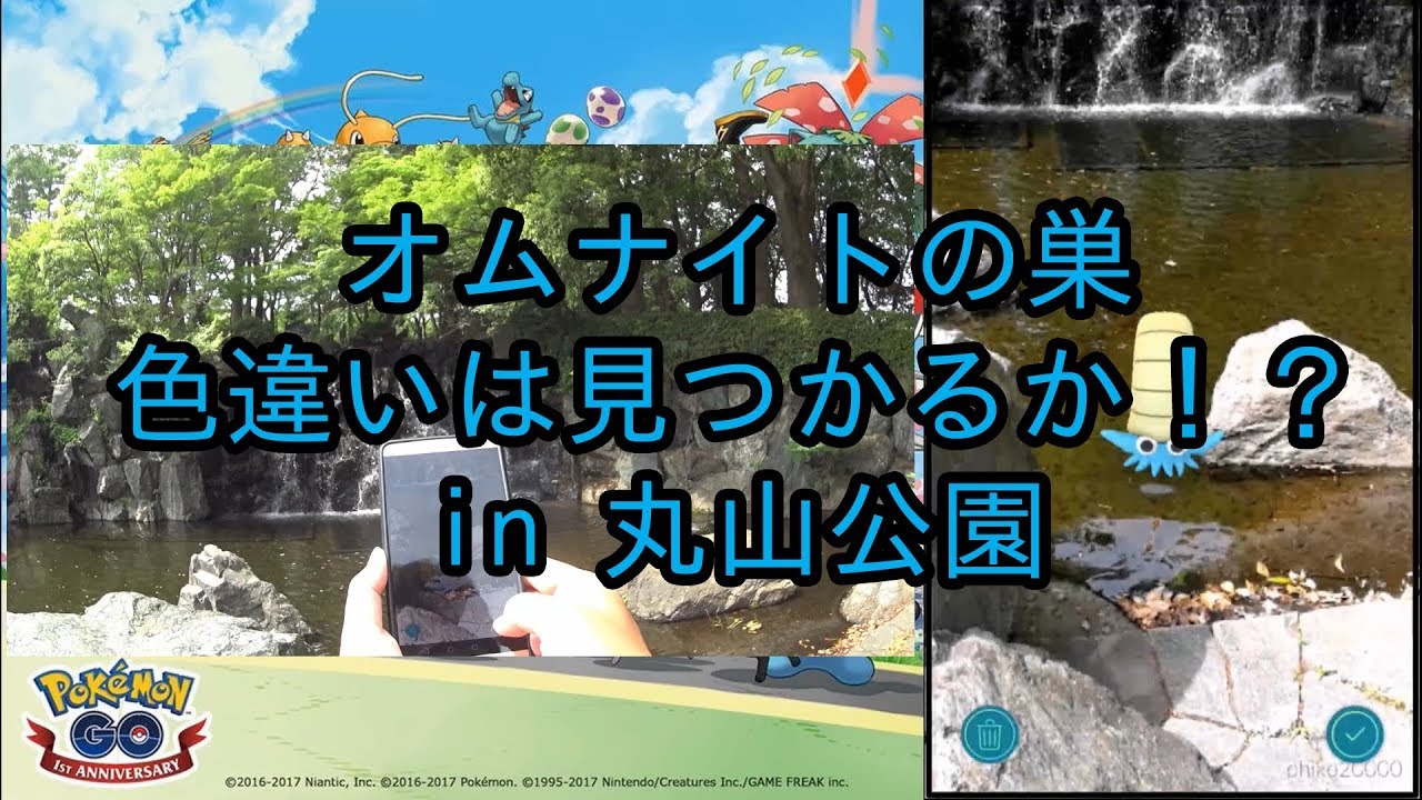 【ポケモンGO】オムナイトの巣で色違いは見つかるか？ in 丸山公園