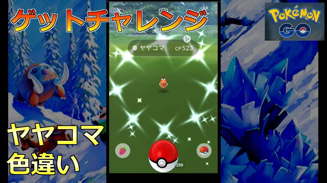 【ポケモンGO】ゲットチャレンジ ヤヤコマ 色違い