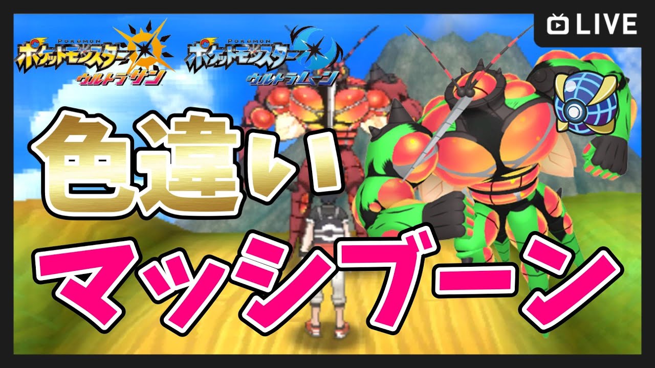 【ポケモンUSUM】色違いマッシブーン厳選！ 最初に中古開封【ポケットモンスター ウルトラサンムーン】