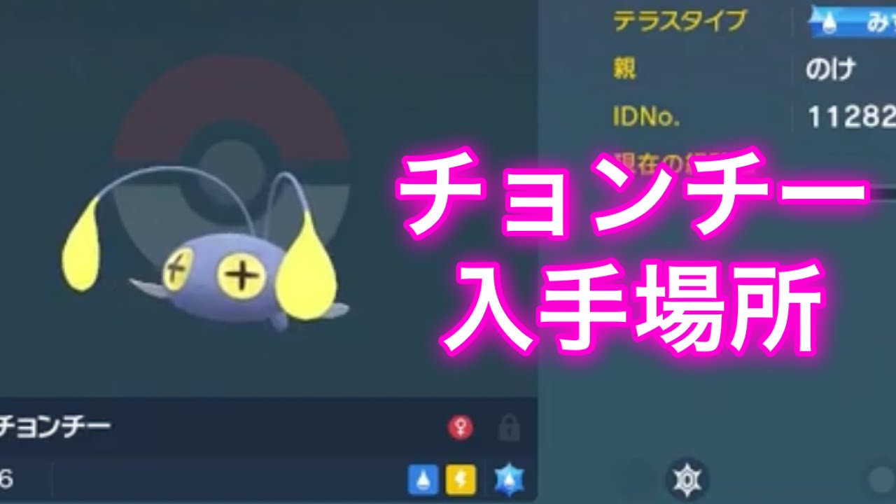 【ポケモンSV】【藍の円盤】チョンチー入手場所