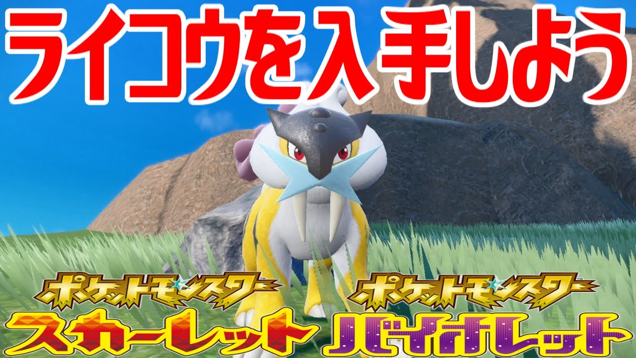 【ポケモンSV】ライコウを入手しよう【ポケットモンスター スカーレット・バイオレット ゼロの秘宝 藍の円盤】Pocket Monsters