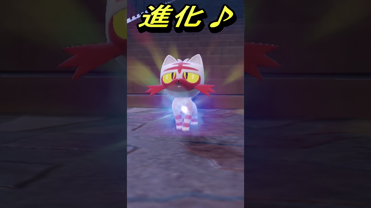 【ポケモンSV】今回の色違い御三家！ガオガエン(ニャビー)