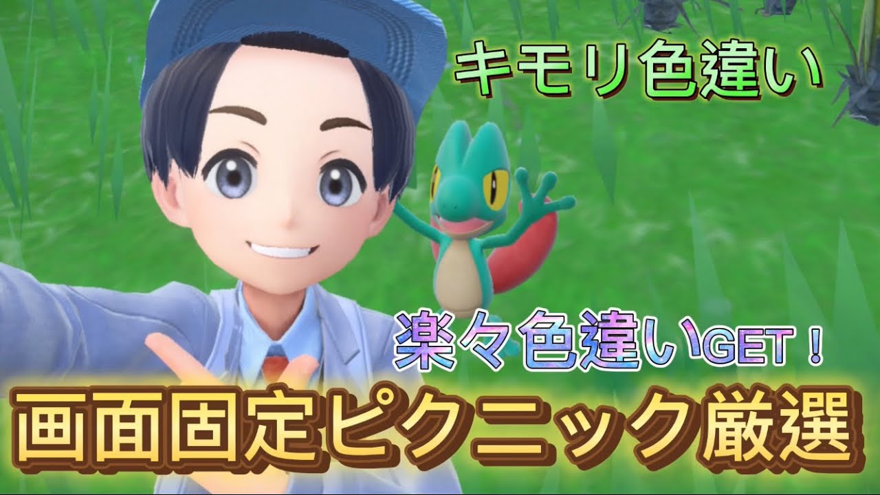 キモリの色違いが欲しい！ならば見やすい場所で厳選しようじゃないか！