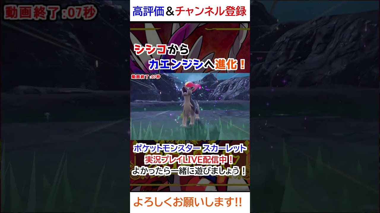 シシコ→カエンジシ進化【ポケモンSV】