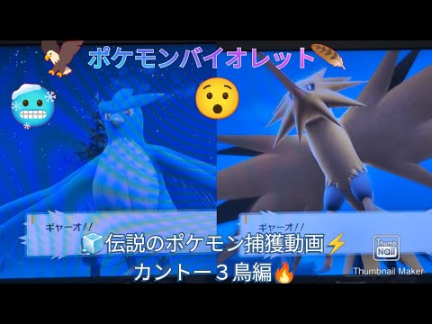 ポケモンバイオレットプレイ動画   フリーザー＆サンダー＆ファイヤー捕獲動画
