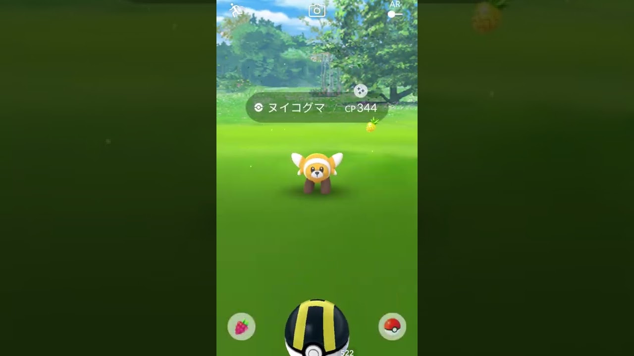 ＃Shorts◇色違いヌイコグマ＃114