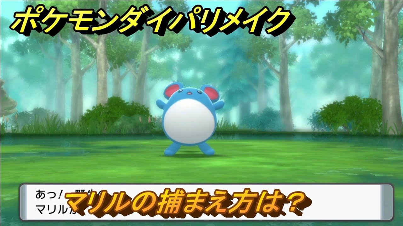 ポケモンダイパリメイク　マリルの捕まえ方は？出現場所は？　最新版【ブリリアントダイヤモンド・シャイニングパール】