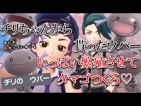 【ポケモンSV 藍の円盤】チリちゃんから貰ったウパー、いっぱい繫殖させて、タマゴ作って、いっぱい孵すねっ♡【じょだらいぶ】【#07】