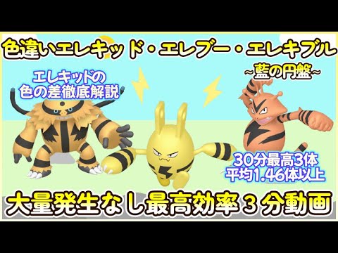 藍の円盤 色違いエレキッド＆エレブー＆エレキブル最高効率３分まとめ 30分最高３体 平均1.46体以上#ポケモンsv #最高効率 #色違い #エレキッド #エレブー #エレキブル #大量発生なし
