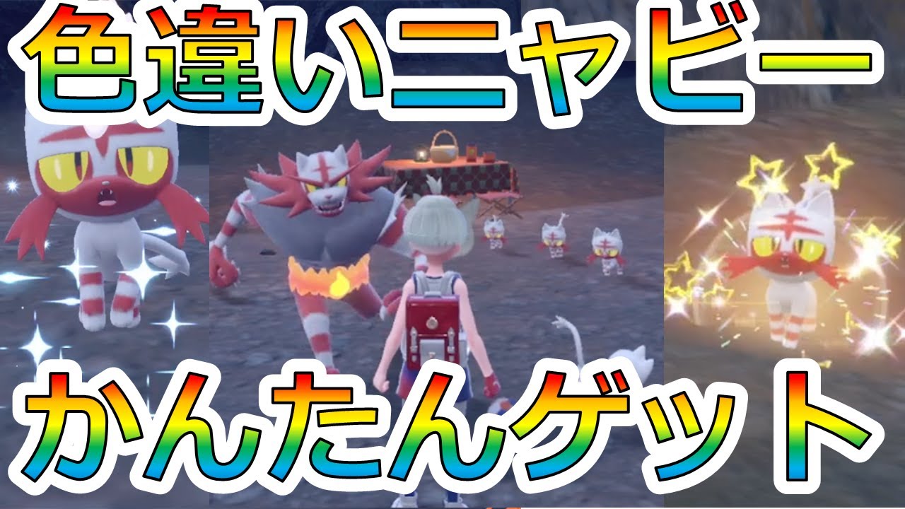 ダブルバトルで大活躍！ニャビー色違い厳選 ！！【ポケモンSV】【ニャビー】【色違い】【ガオガエン】【ニャヒート】【にゃんこ】