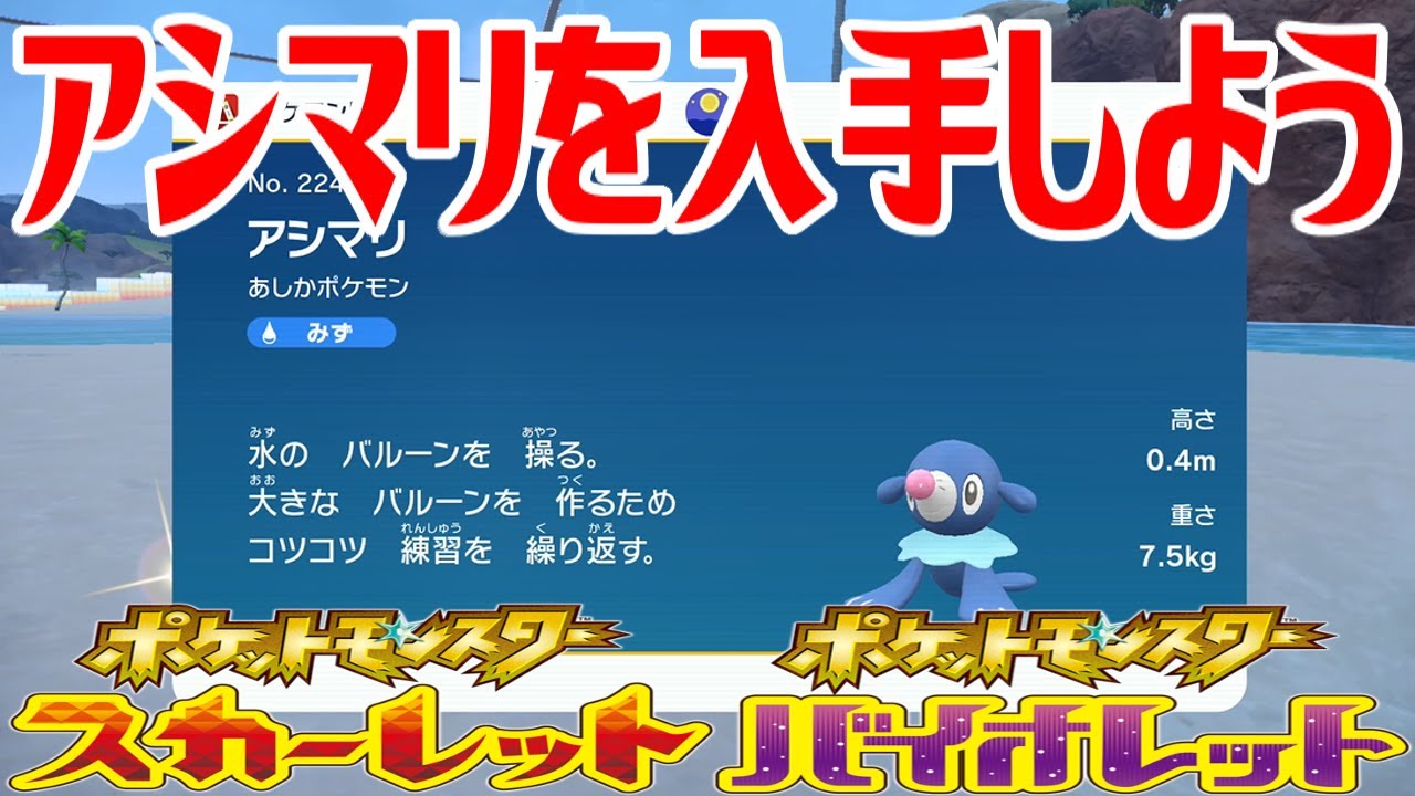 【ポケモンSV】アシマリを入手しよう【ポケットモンスター スカーレット・バイオレット ゼロの秘宝 藍の円盤】Pocket Monsters