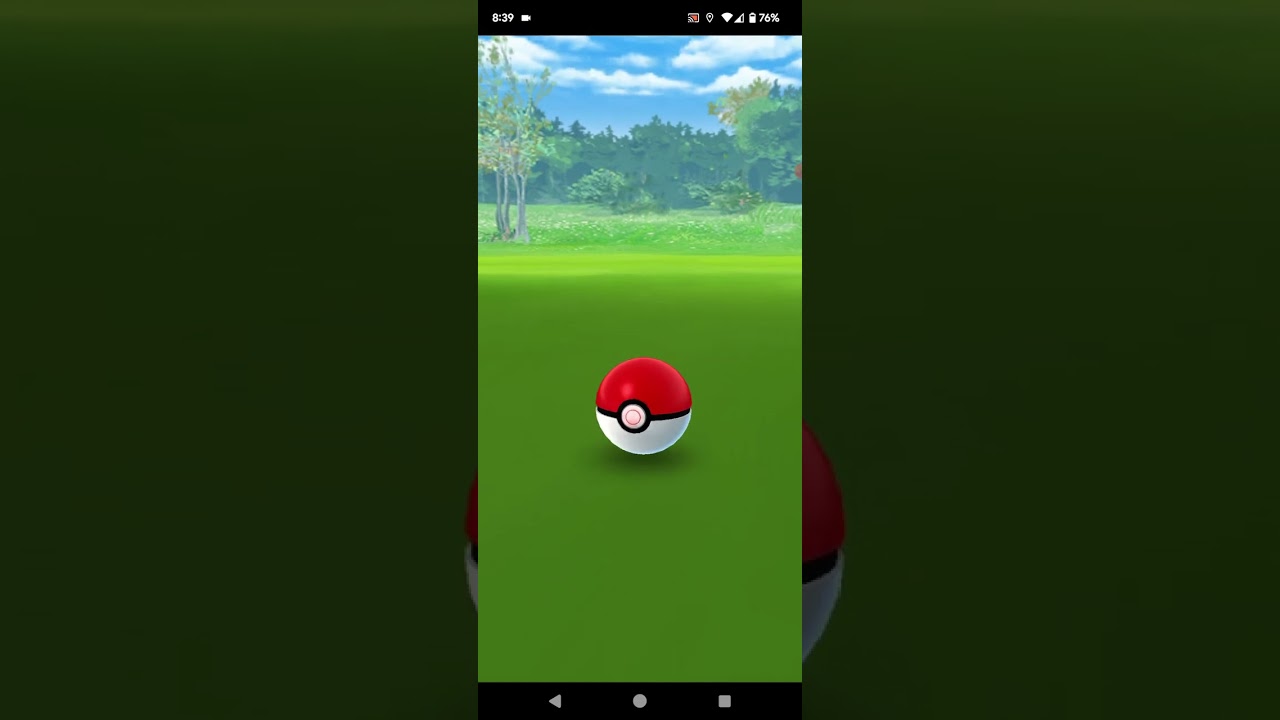 20230908のヤヤコマ。