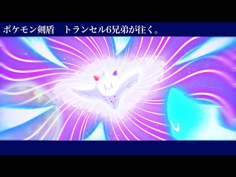 【ポケモン剣盾】トランセル６兄弟が往く。part11 ～新生トランセル初陣編～