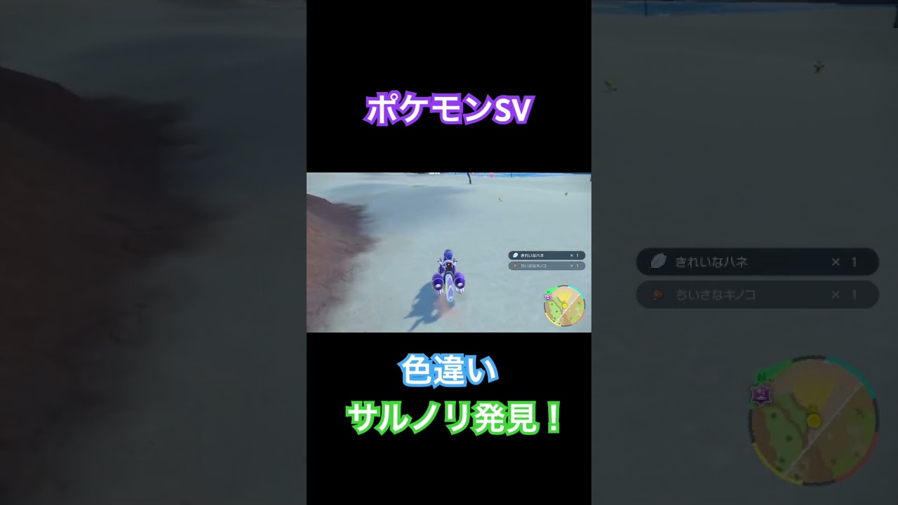 【ポケモンSV】色違いサルノリ発見！ #ポケモン #ポケモンSV #pokemon #shorts