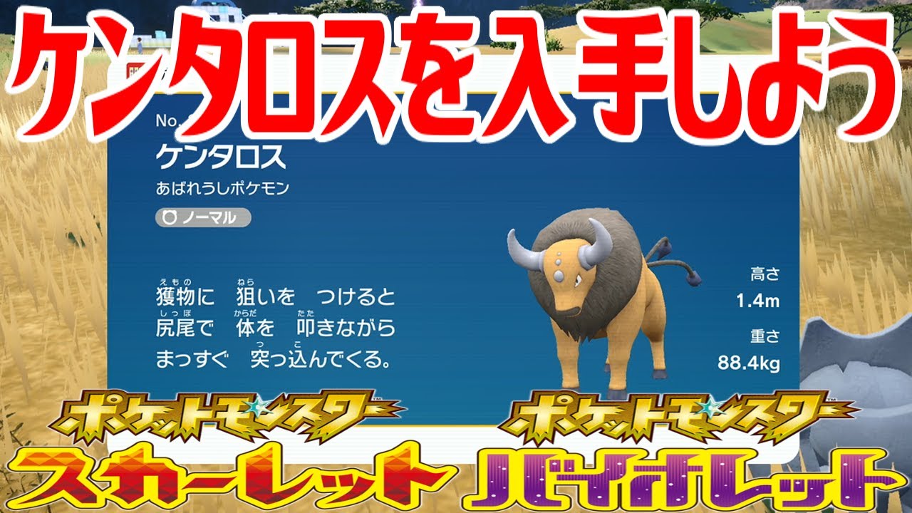 【ポケモンSV】ケンタロスを入手しよう【ポケットモンスター スカーレット・バイオレット ゼロの秘宝 藍の円盤】Pocket Monsters
