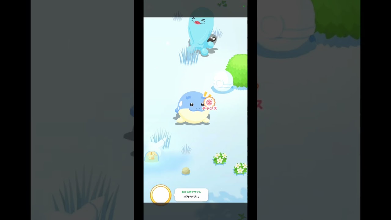 【起床編】ポケモンとすやすやタイム🔆🎁 百五十睡目