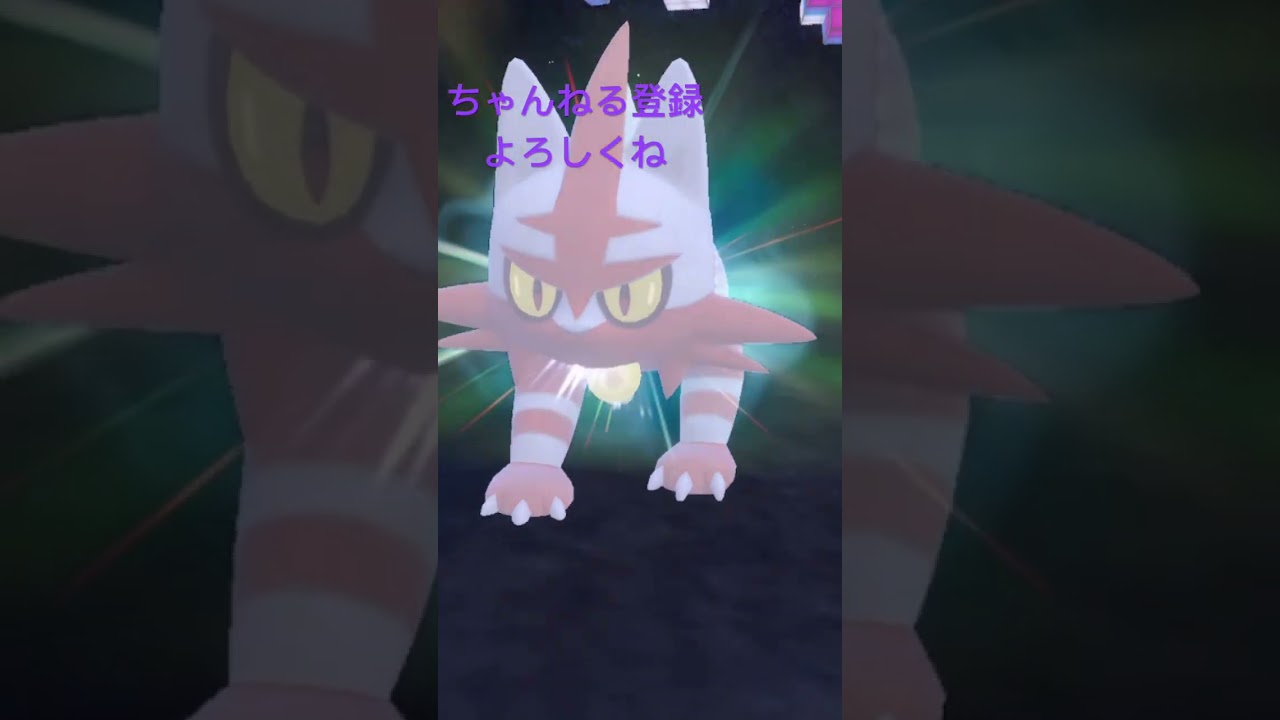 色違いニャヒート進化！立つな！#ポケモンsv #ポケモン151 #ポケモン #ポケモン25周年 #pokemon #gameplay #ポケットモンスター #色違い #shinypokemon