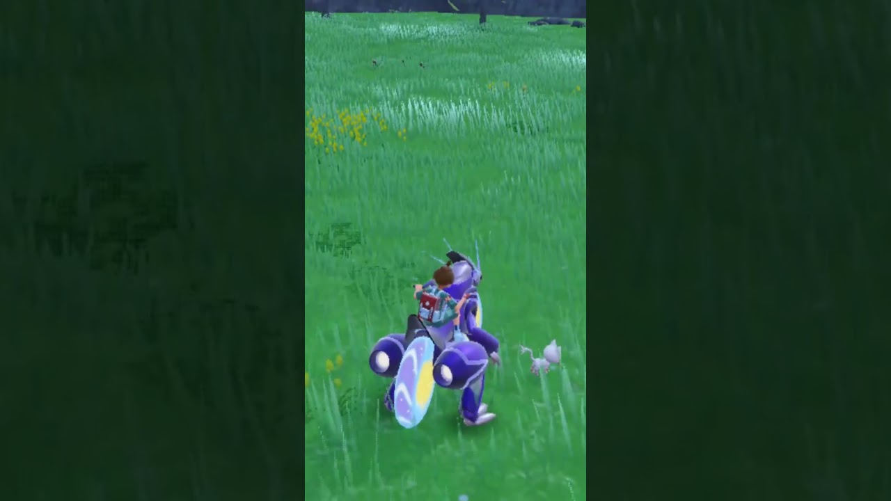【藍の円盤】ニャビーこの子もいずれは立っちまうんだ【ポケモンSV】#shorts
