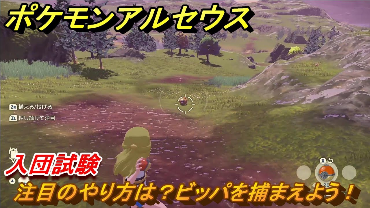 ポケモンアルセウス　注目のやり方は？ビッパを捕まえよう！入団試験　＃６　【Pokémon LEGENDS アルセウス】