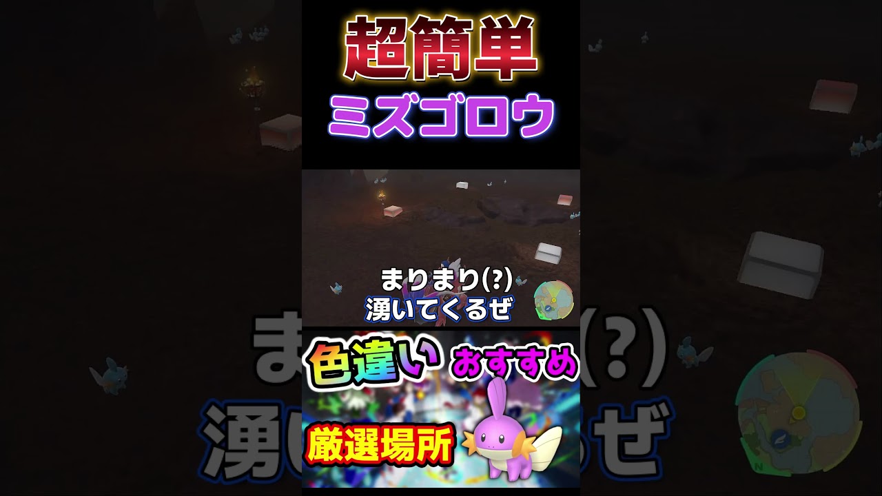 ミズゴロウの色違いぃぃぃぃぃぃぃぃぃぃぃぃぃぃっぃ！！！！！！！！#shorts #ポケモンsv